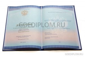 диплом техникума колледжа 2014-2026 года